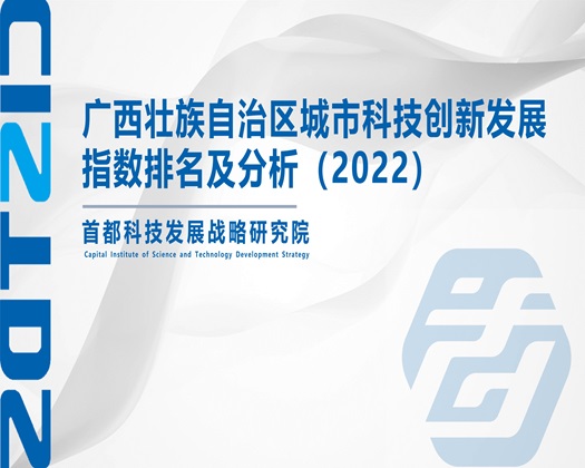 SeseSe肏屄【成果发布】广西壮族自治区城市科技创新发展指数排名及分析（2022）